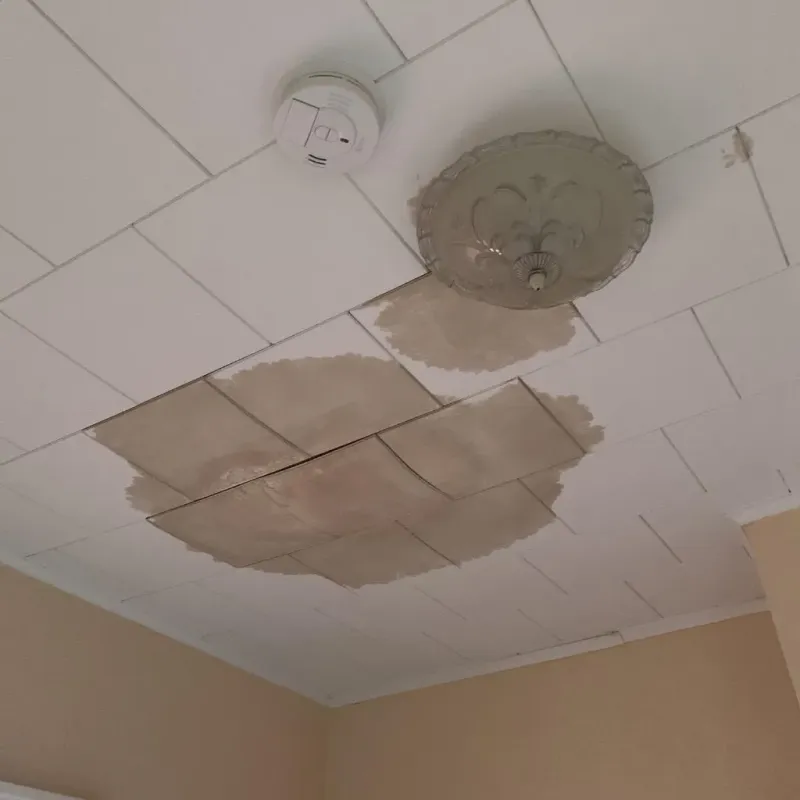 Ceiling Water Damage Repair in Hillsborough, NC