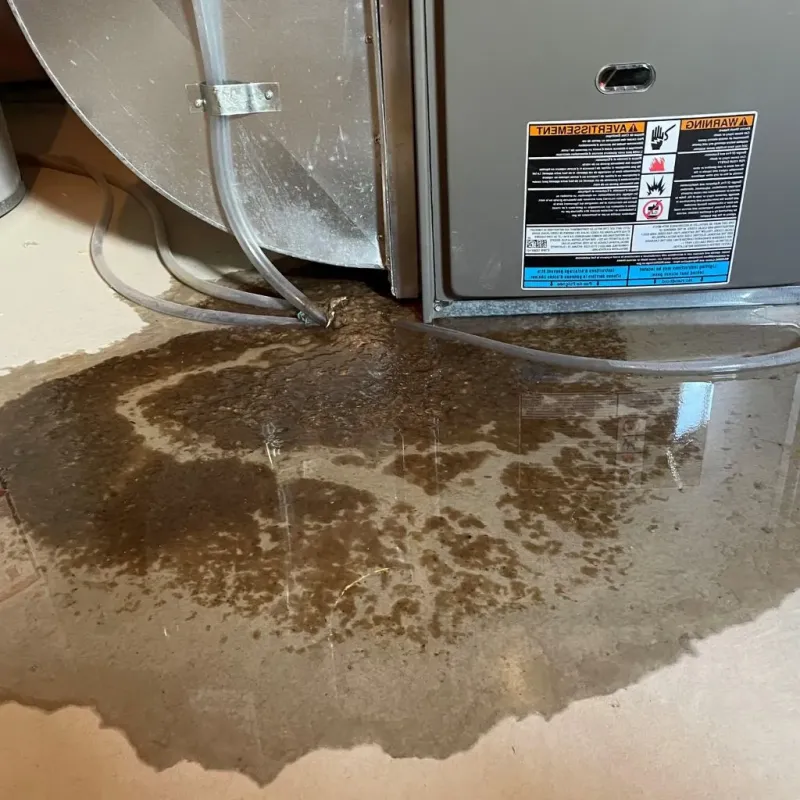 Pipe Burst and Leak Restoration in Hillsborough, NC